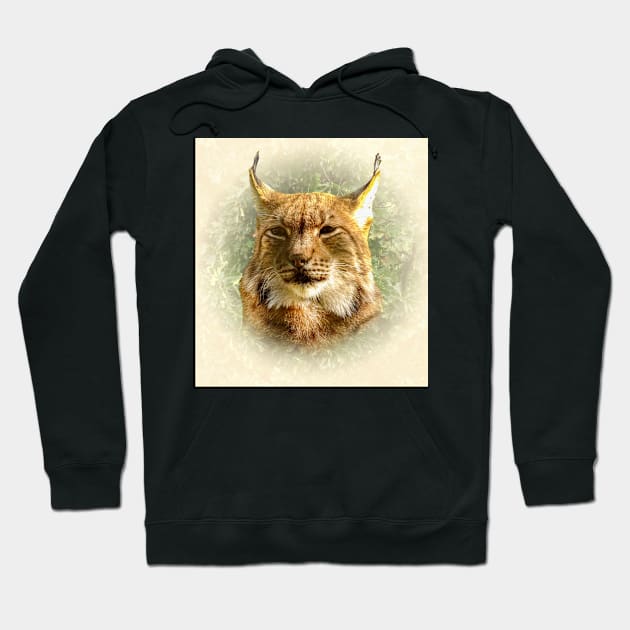 Lynx portrait Hoodie by Guardi